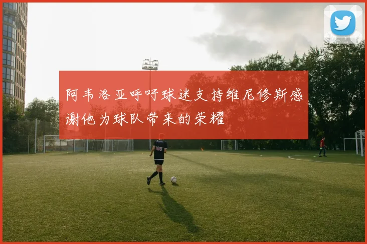 阿韦洛亚呼吁球迷支持维尼修斯感谢他为球队带来的荣耀