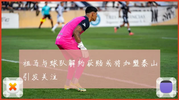 祖马与球队解约获赔或将加盟泰山引发关注
