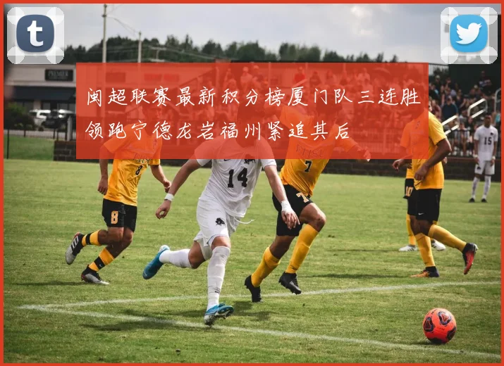 闽超联赛最新积分榜厦门队三连胜领跑宁德龙岩福州紧追其后