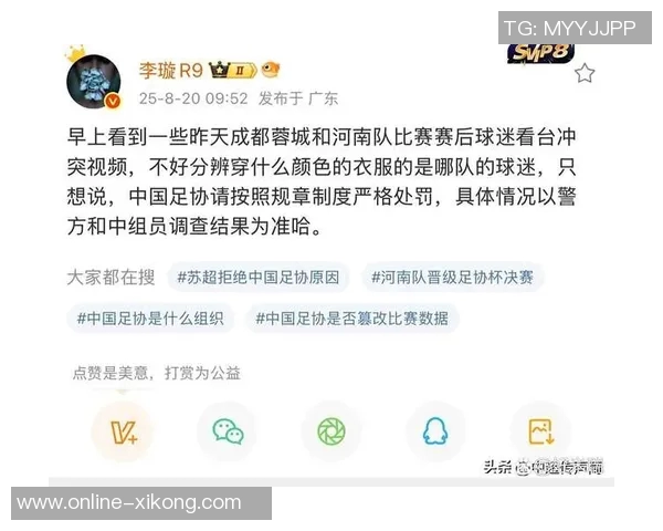 2013年足协重罚后幸存球队纷纷遭遇处罚引发热议