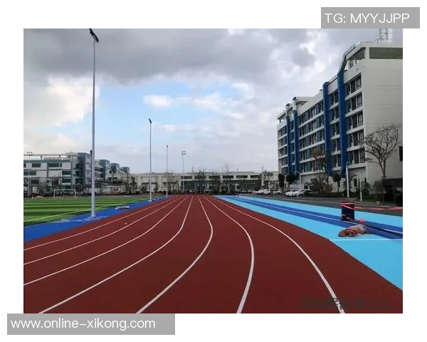 丰臻谈北京情况复杂市政府与体育局未能领导苏州工作